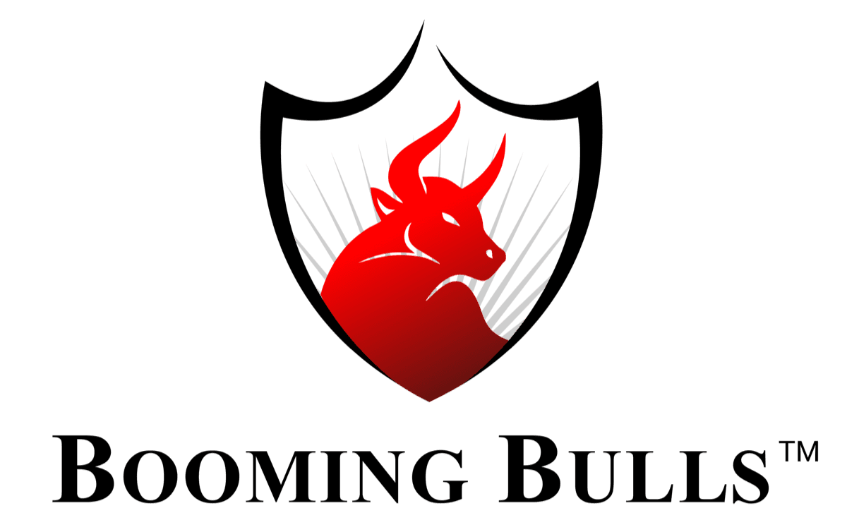 Booming Bulls logo